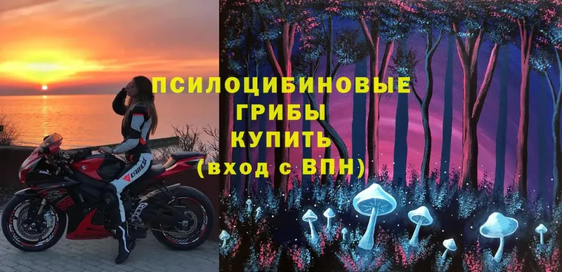 Псилоцибиновые грибы MAGIC MUSHROOMS  как найти закладки  Благодарный 